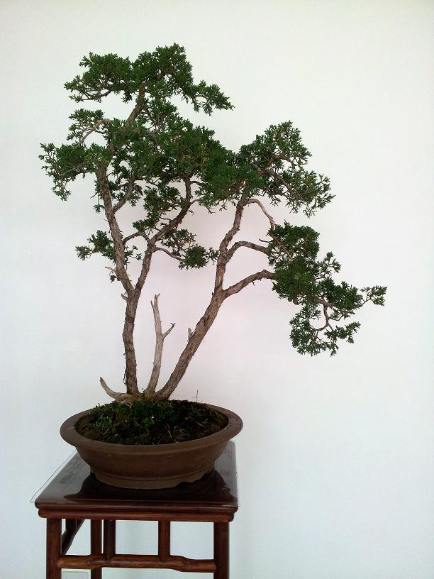 20120505_085630.jpg