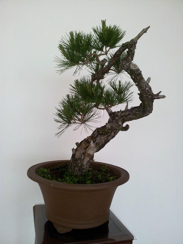 20120505_085720.jpg