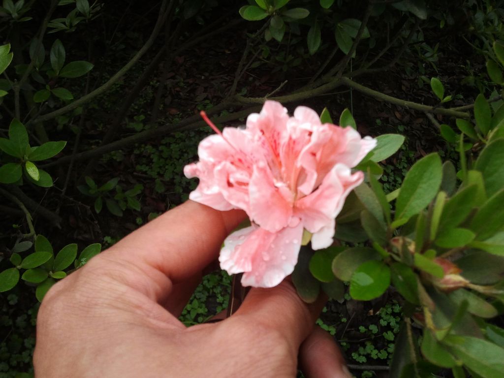 2012-05-06 14.26.22.jpg