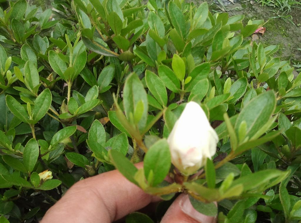 2012-05-06 15.05.51.jpg