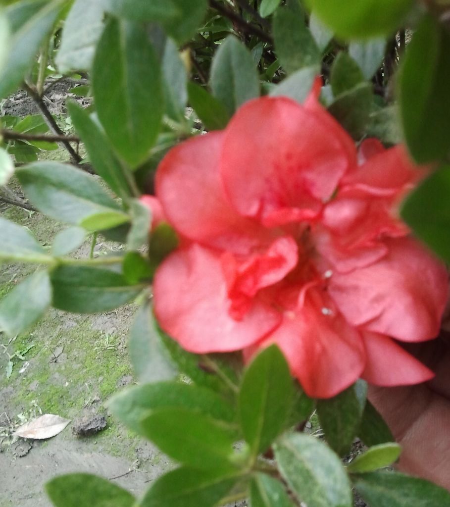 2012-05-06 15.05.58.jpg