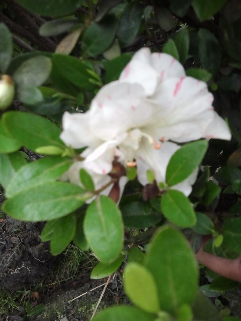 2012-05-06 15.06.10.jpg