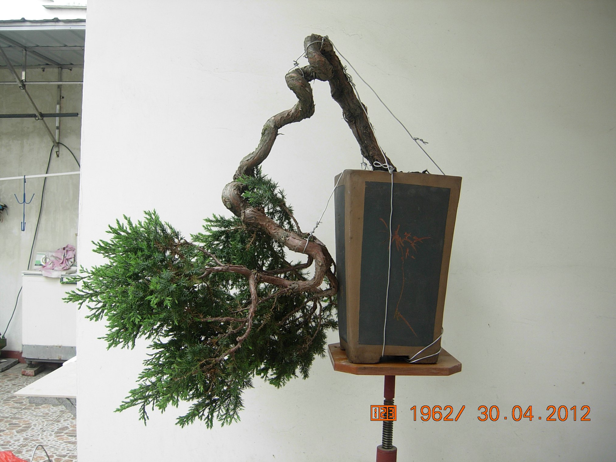 DSCN5797.JPG