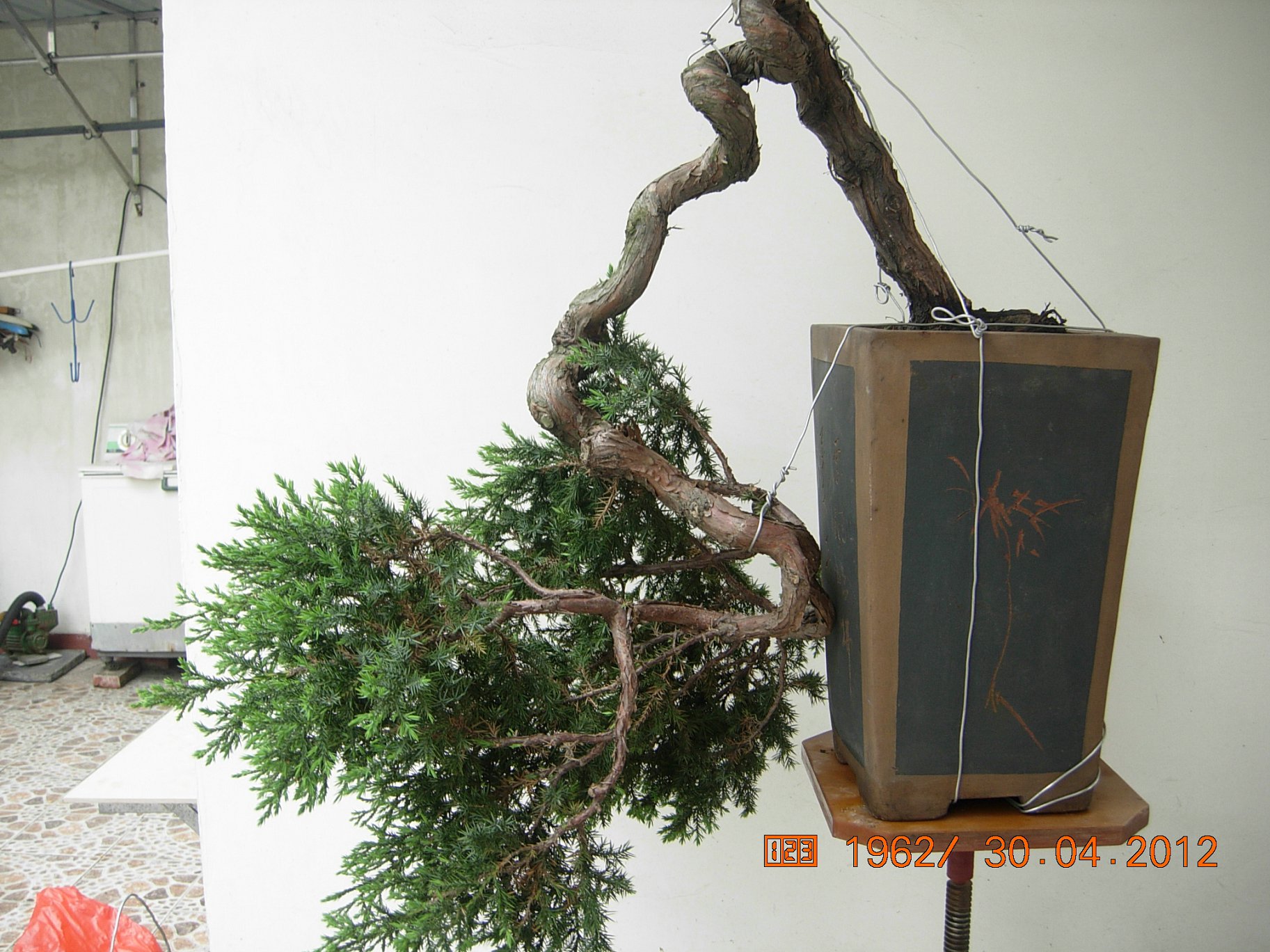 DSCN5798.JPG
