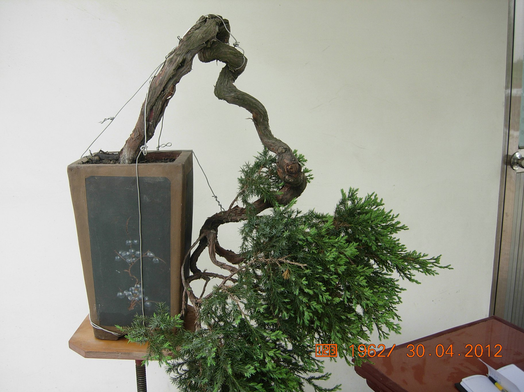 DSCN5800.JPG