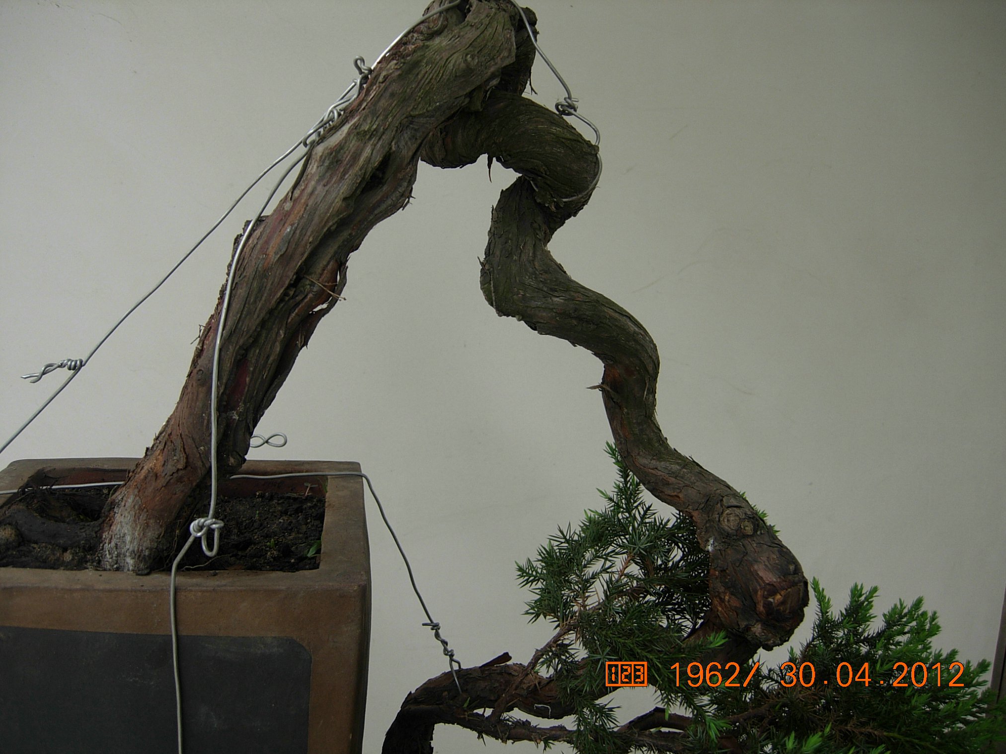 DSCN5801.JPG