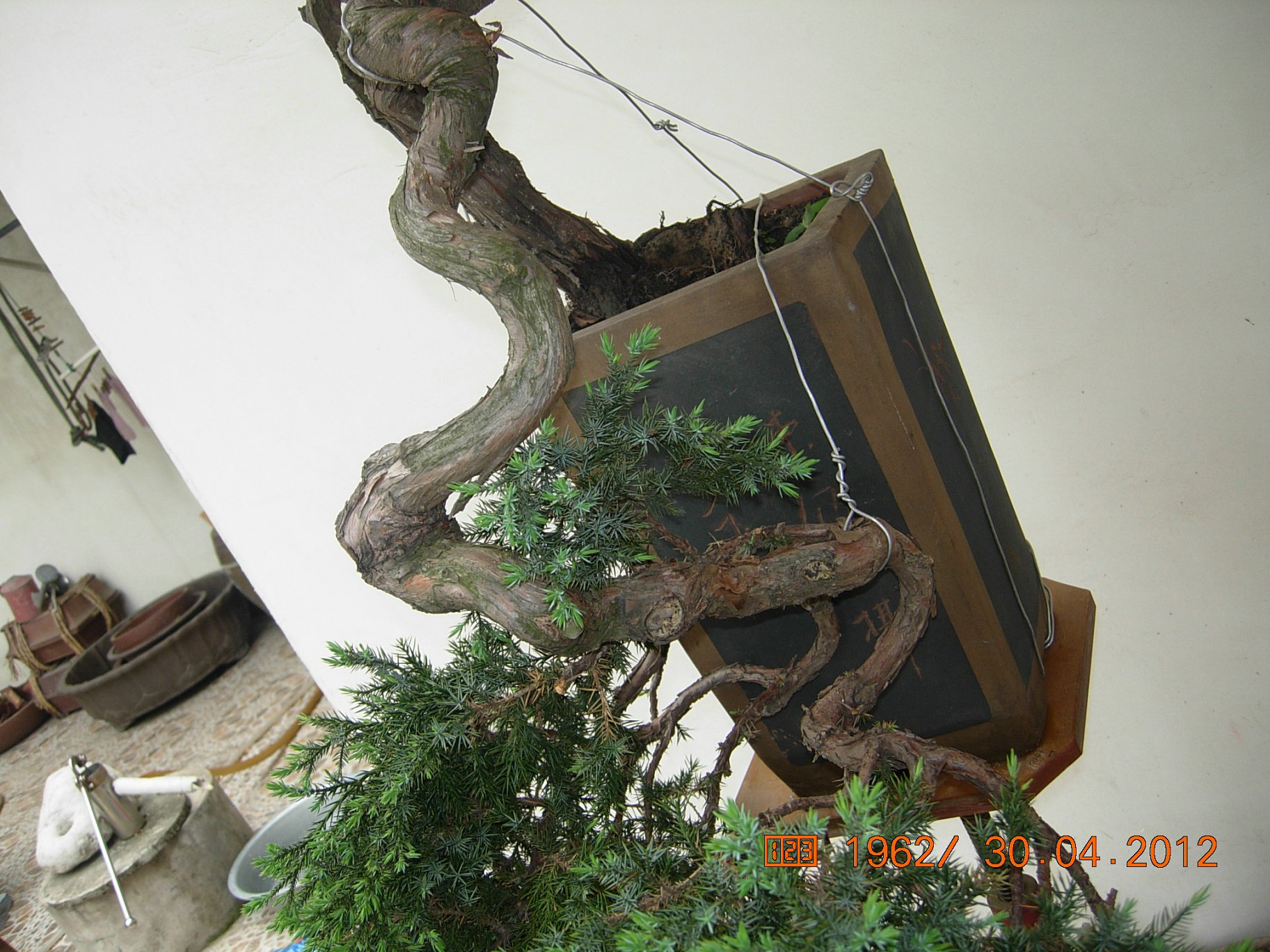 DSCN5802.JPG