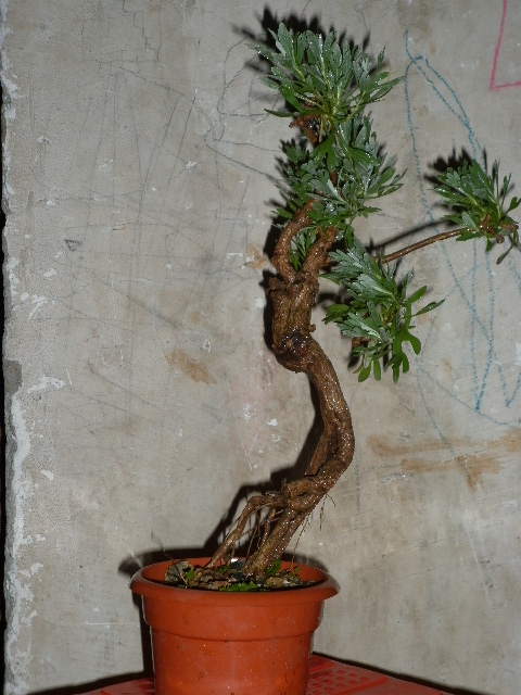 P1010001.JPG