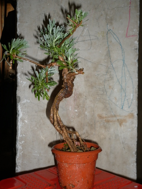 P1010002.JPG