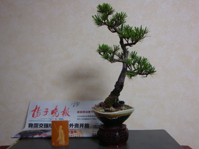 DSC08821.JPG