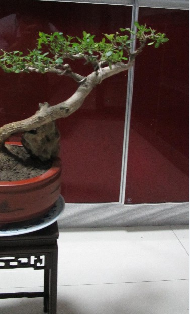 ӻ1.jpg