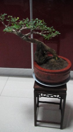ӻ5.jpg
