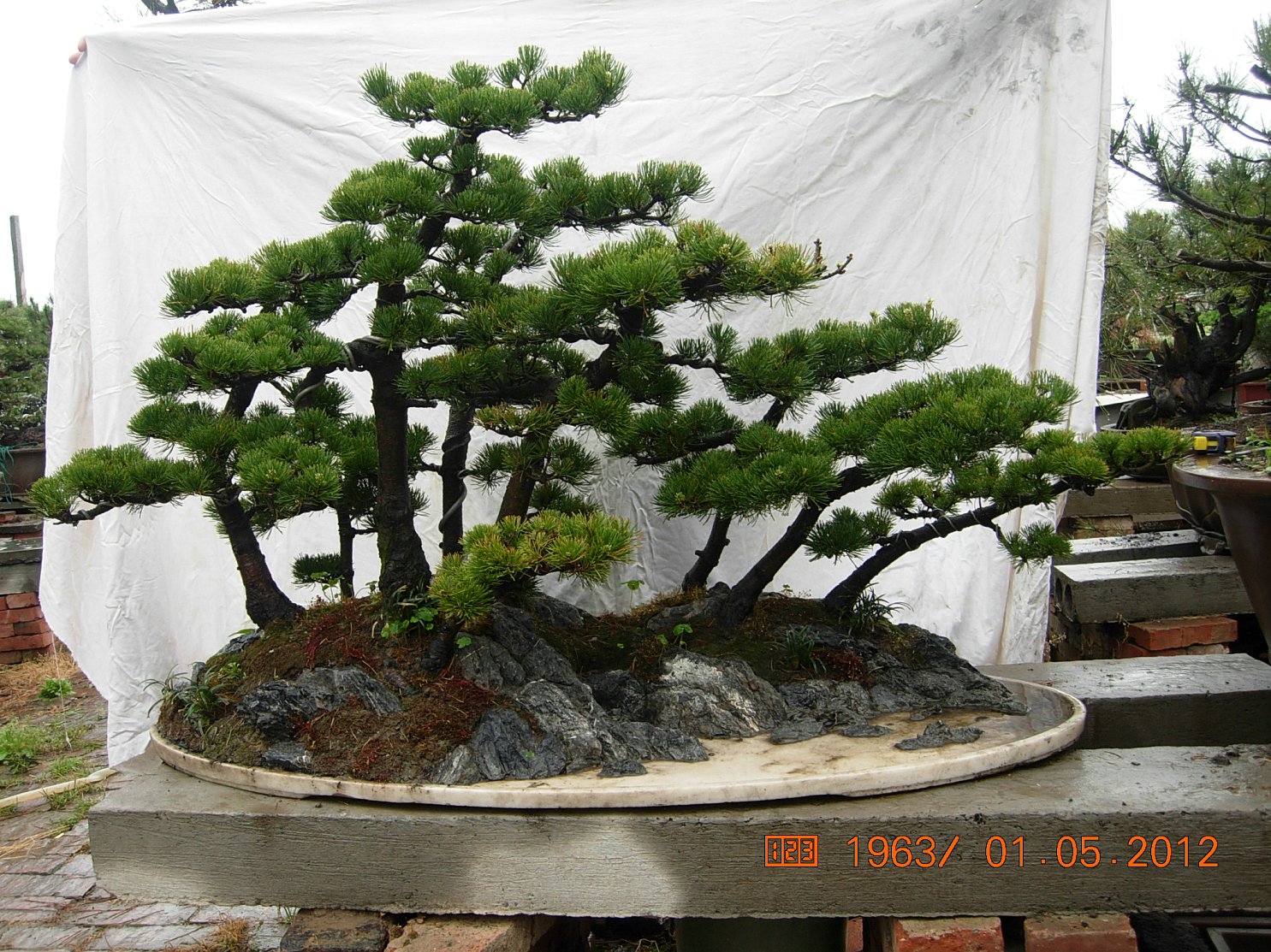 DSCN6002.JPG