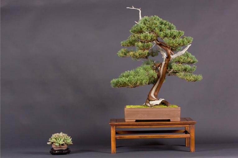 360ͼ20120505143130787.jpg