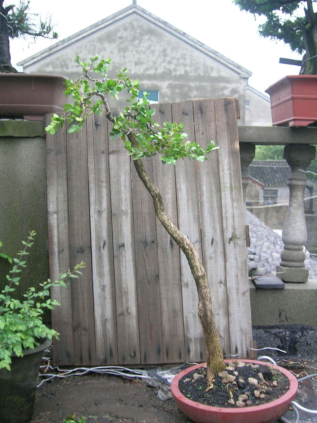 DSCN8871.JPG