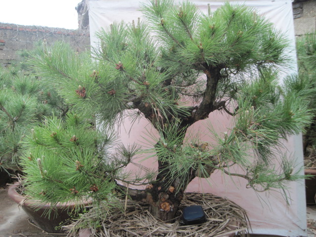 20120507СƬ 025.jpg