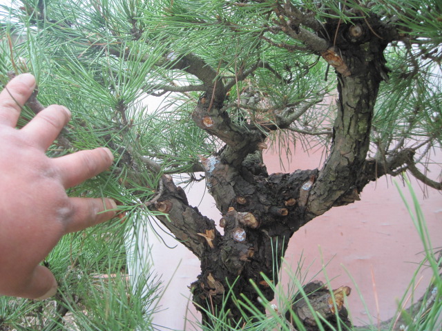 20120507СƬ 027.jpg