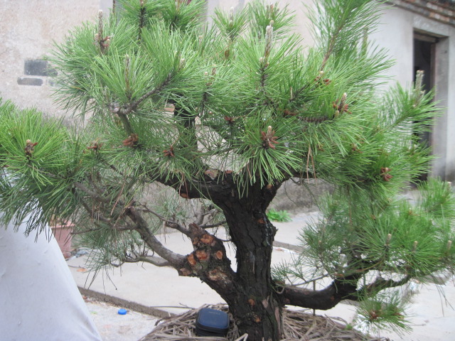 20120507СƬ 032.jpg