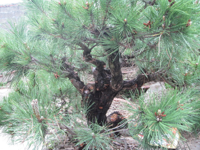 20120507СƬ 037.jpg