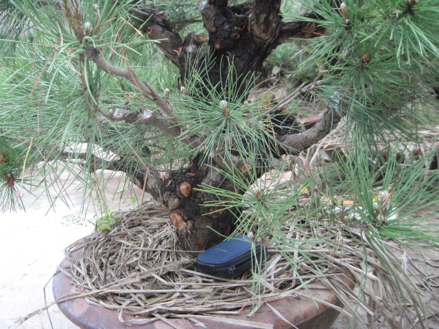 20120507СƬ 038.jpg