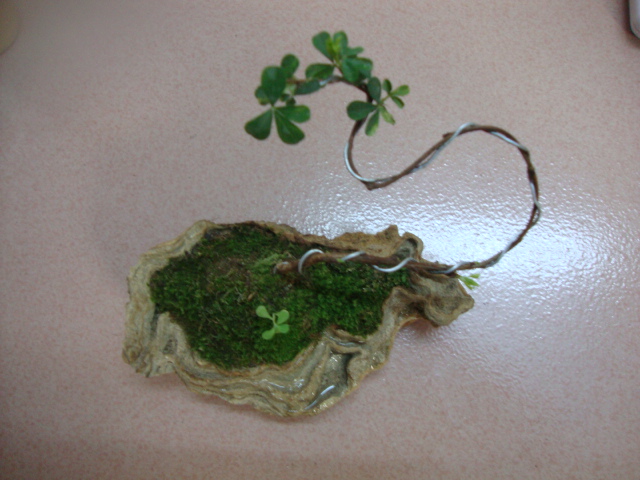 DSC01949.JPG