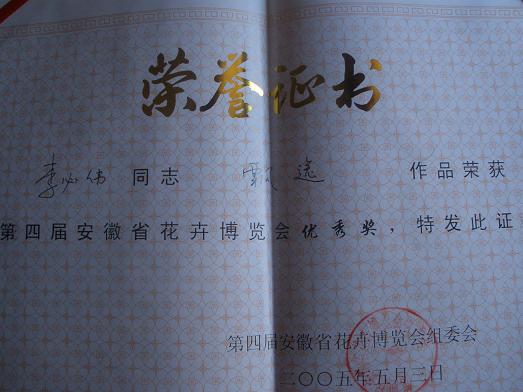 P1010139.JPG