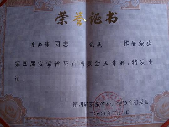 P1010141.JPG