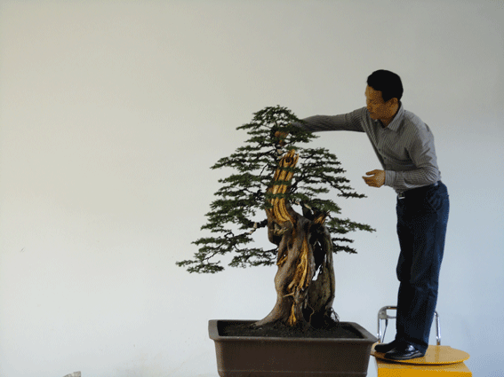 DSC00368.gif