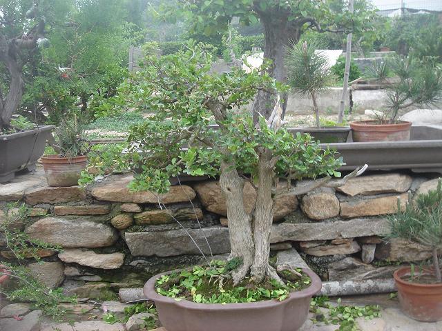 DSC05836.JPG