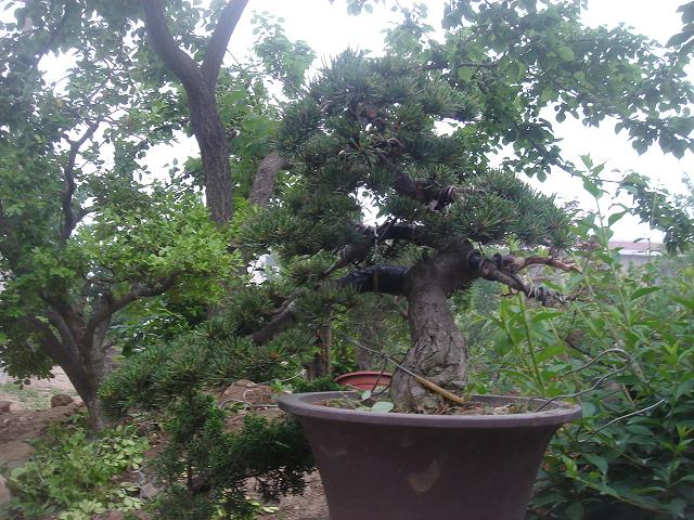 DSC05838.JPG