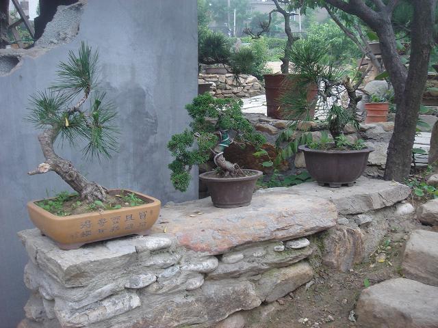 DSC05840.JPG