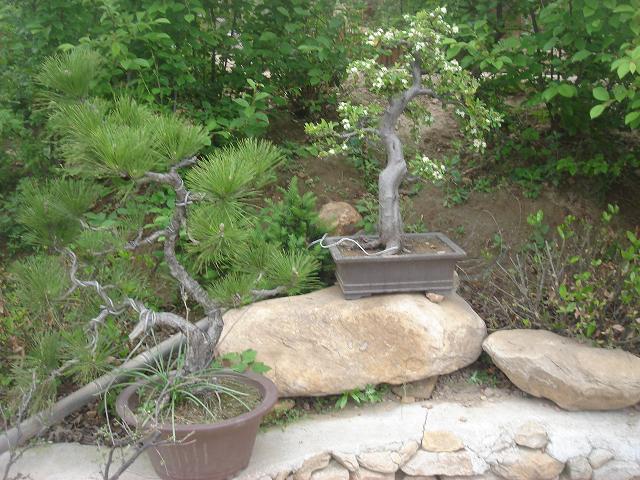 DSC05845.JPG