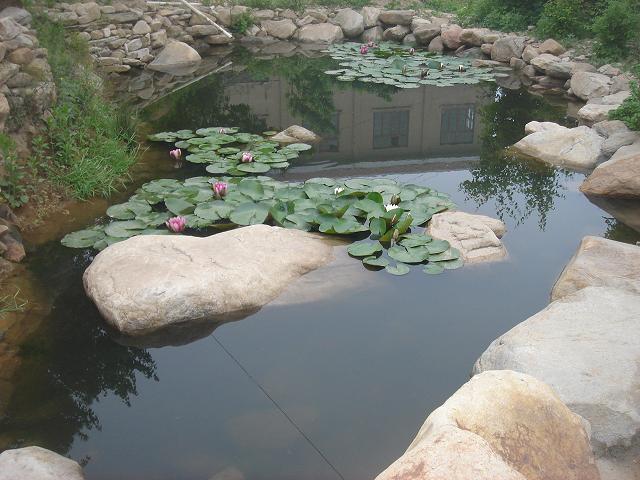 DSC05849.JPG