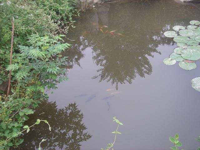 DSC05853.JPG