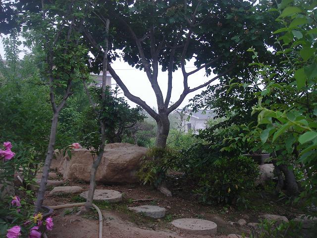 DSC05855.JPG