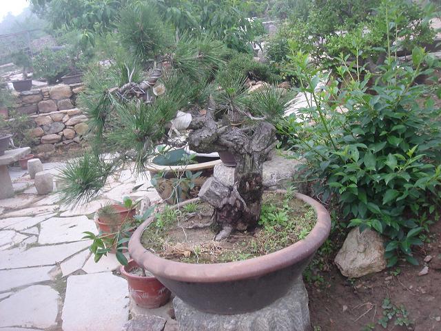 DSC05856.JPG
