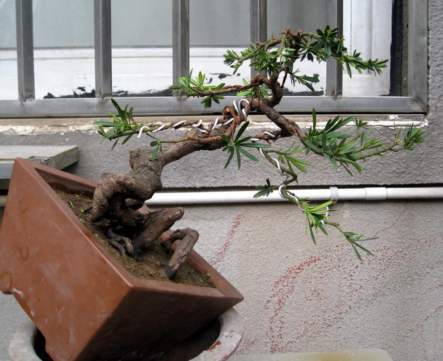Ƭ 14072.JPG