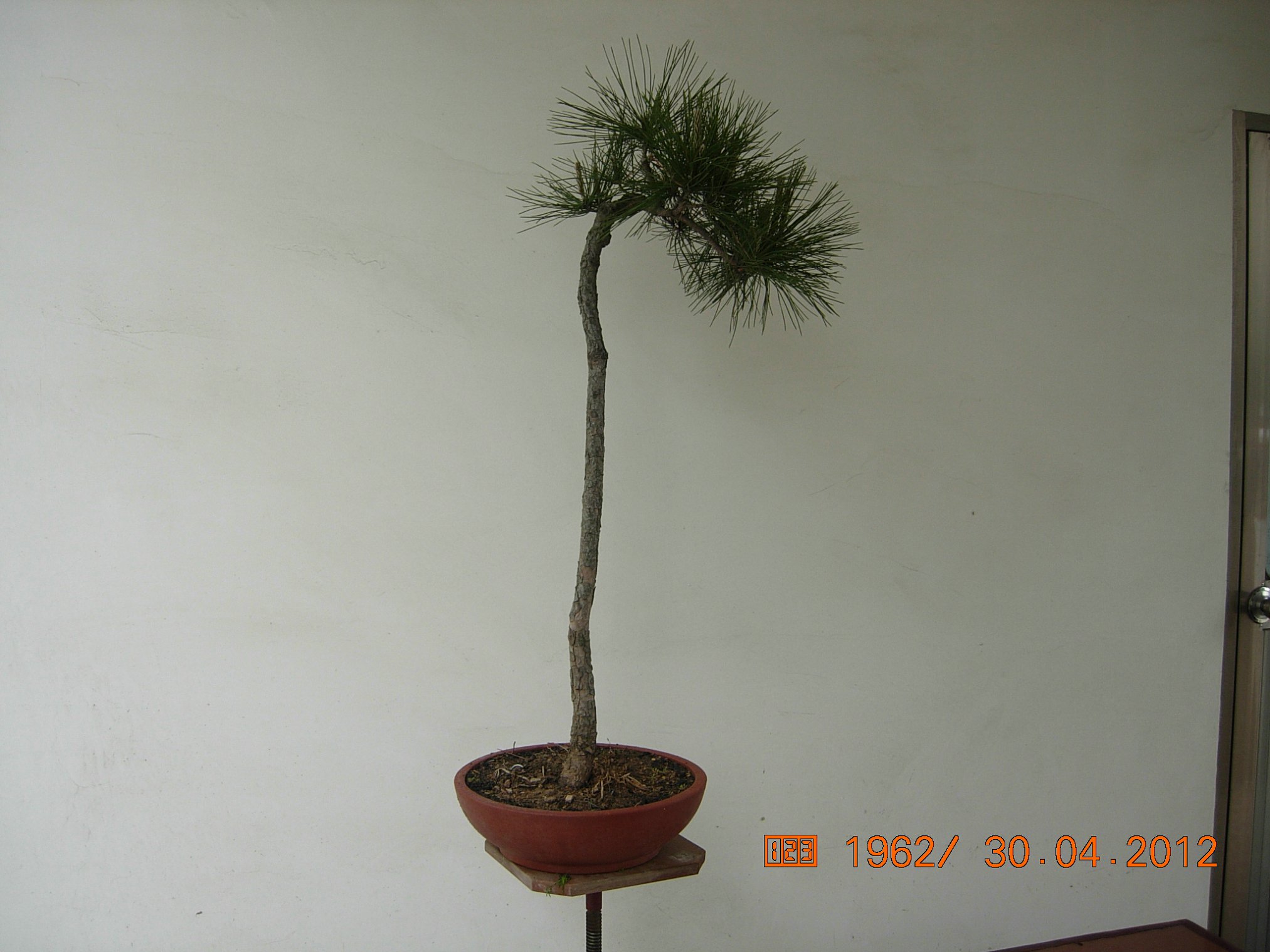 DSCN5846.JPG