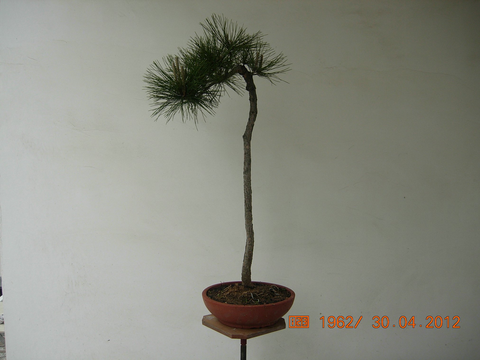 DSCN5847.JPG