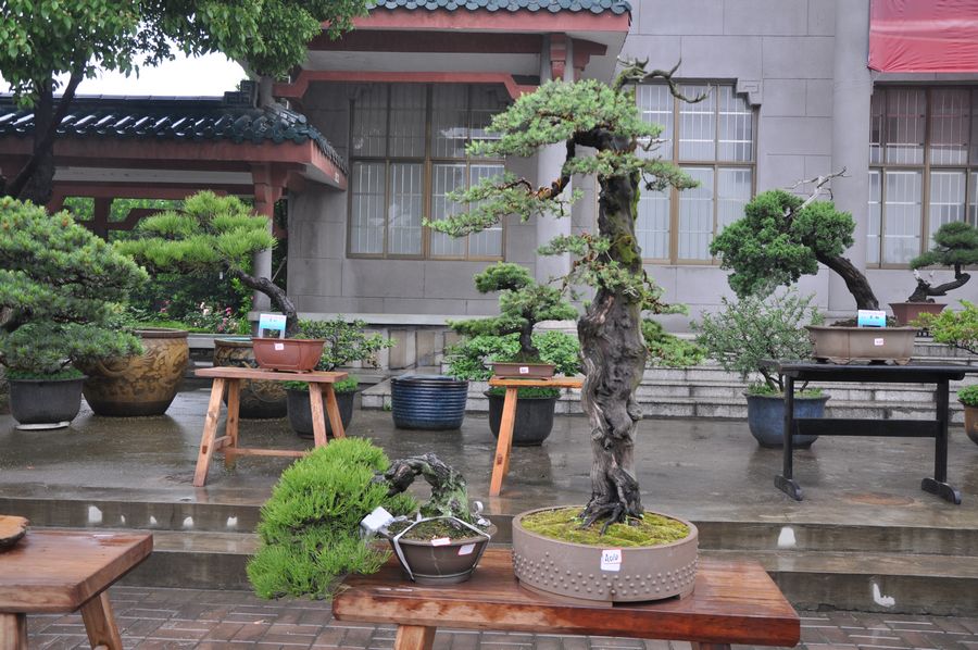 Ƭ 037.jpg