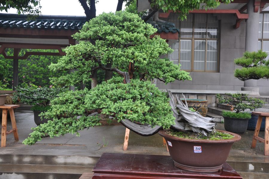 Ƭ 039.jpg