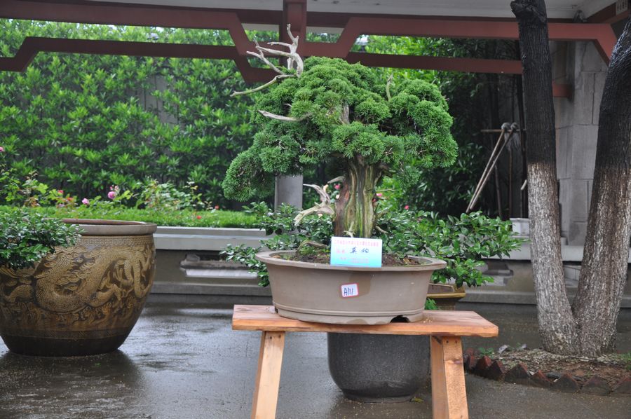 Ƭ 040.jpg