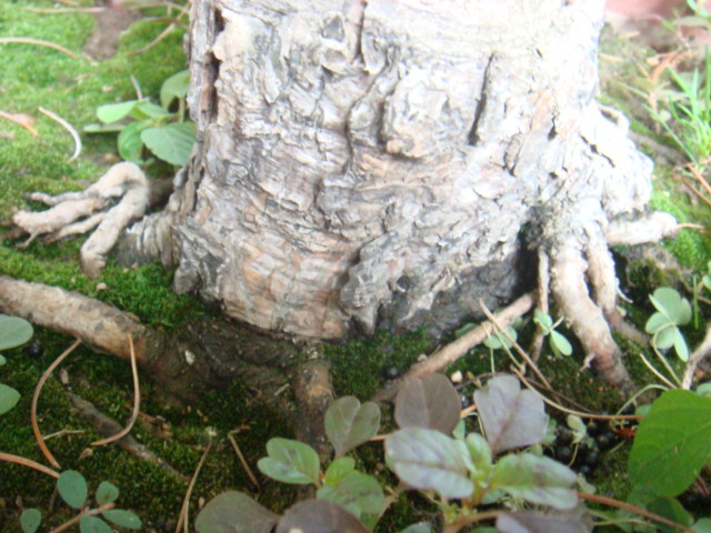 DSC02582.JPG