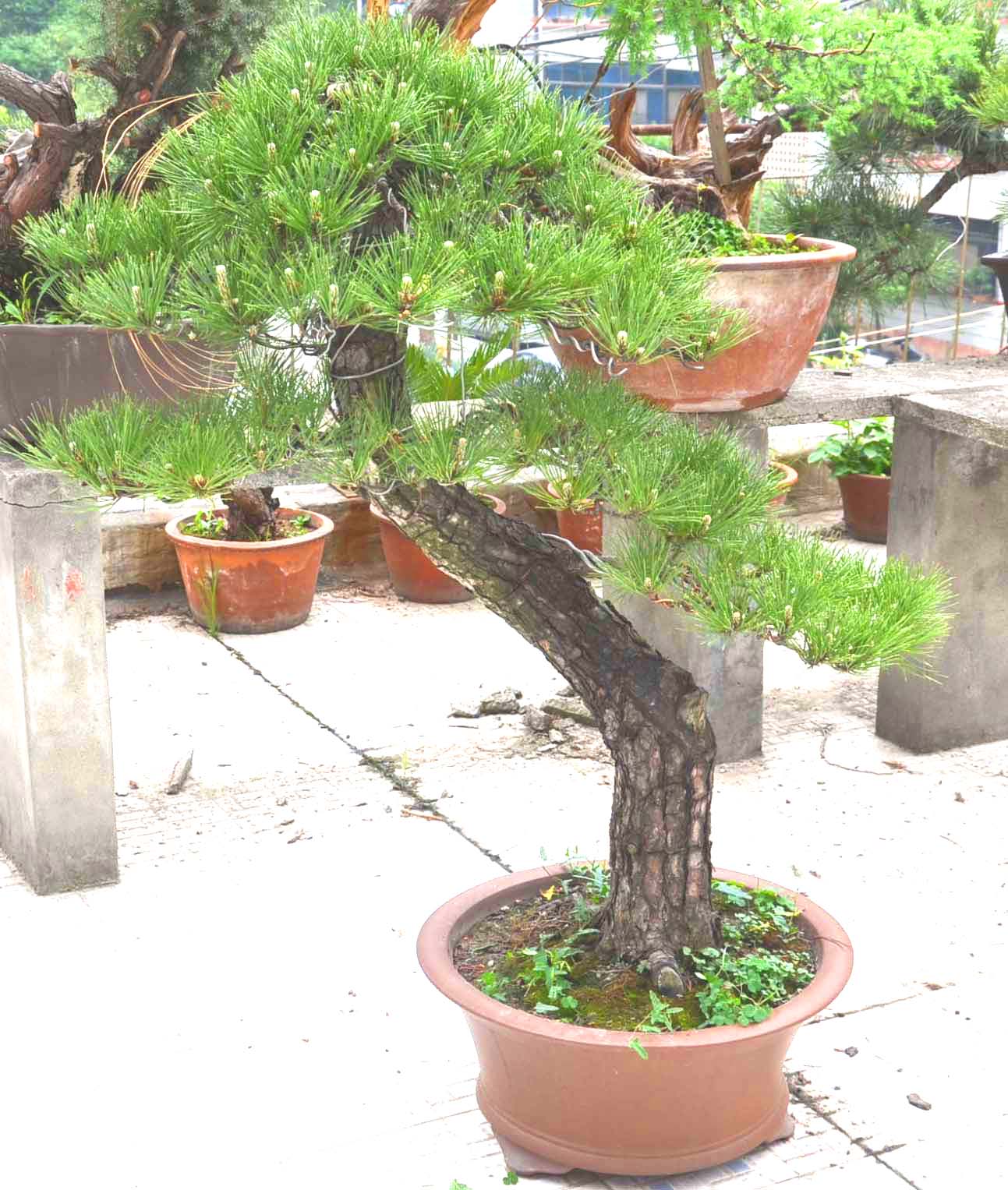 Ƭ 019.jpg