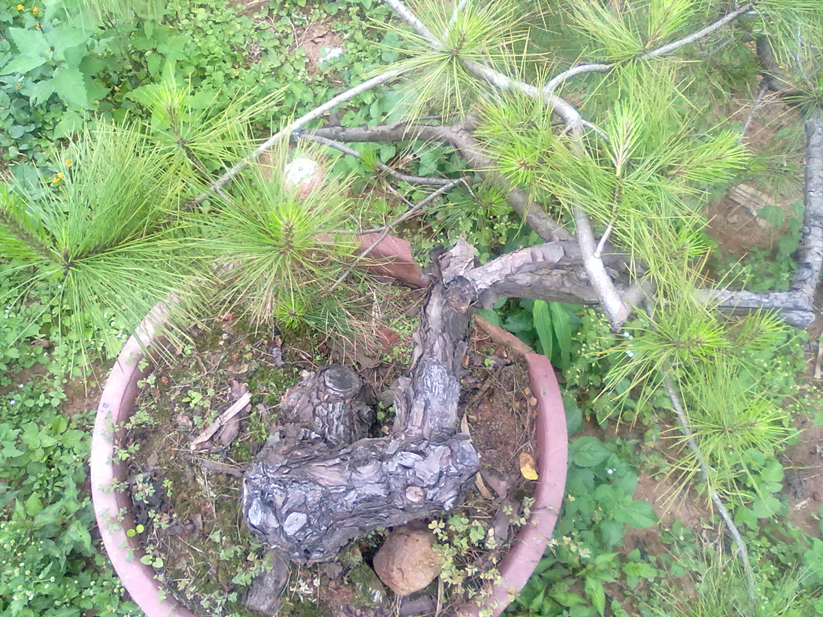 20120429574.jpg