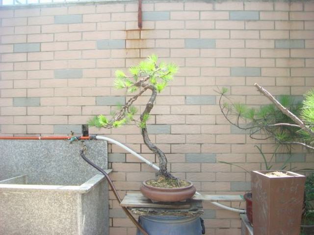 DSC03391.JPG