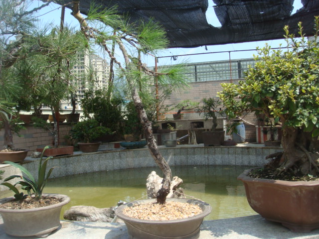 DSC03513.JPG