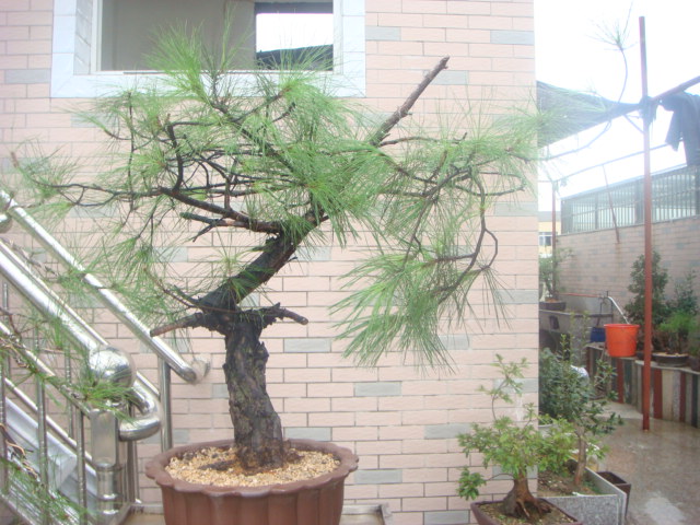 DSC03562.JPG