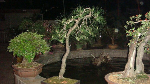 DSC04188.JPG