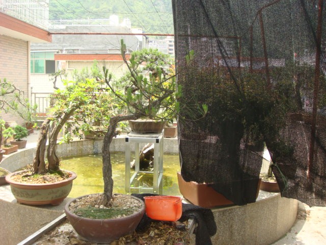 DSC04346.JPG